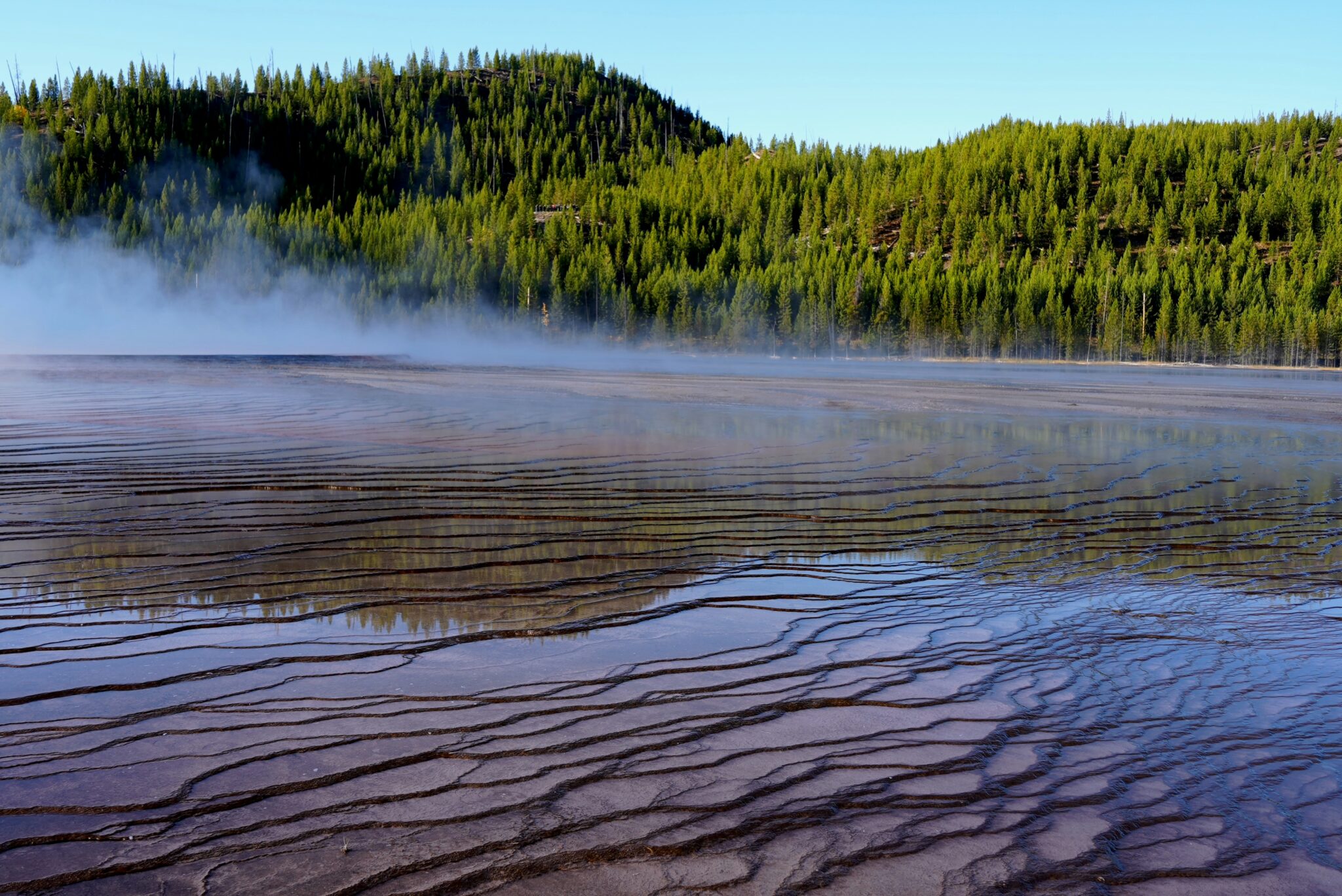 zac bowling 8Wyf2RGI4GU unsplash Clayton Industries – Advanced Steam Boiler Technology
